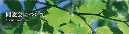 同窓会について